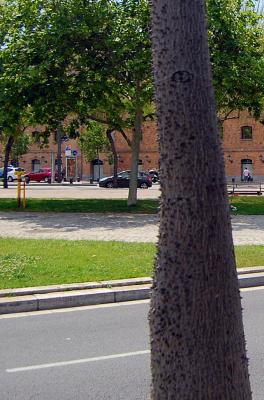 Прикрепленное изображение: 0603cr1.jpg